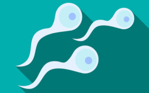 Донор спермы: как выбирать