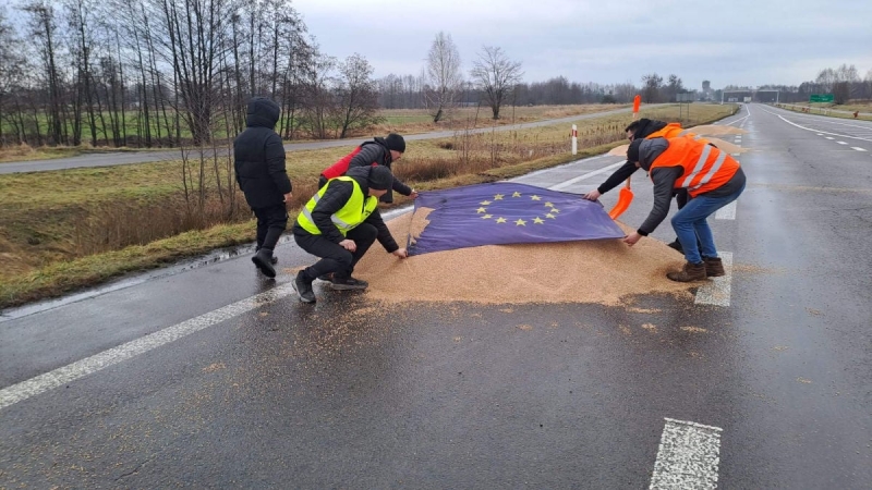 Власти Польши сомневаются в качестве зерна из Украины: "Будут проверять каждую партию"