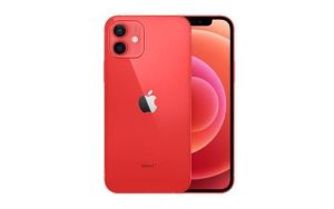 Виды популярных моделей iPhone