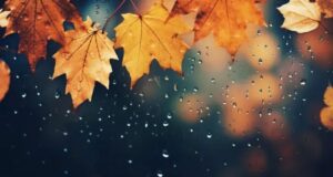 Теплее нормы, но с погодными «качелями»: синоптик рассказала, чего ждать в последние дни перед зимой