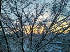 Украину ждет одна из самых морозных недель зимы: в каких областях будет холоднее всего