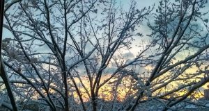 Украину ждет одна из самых морозных недель зимы: в каких областях будет холоднее всего