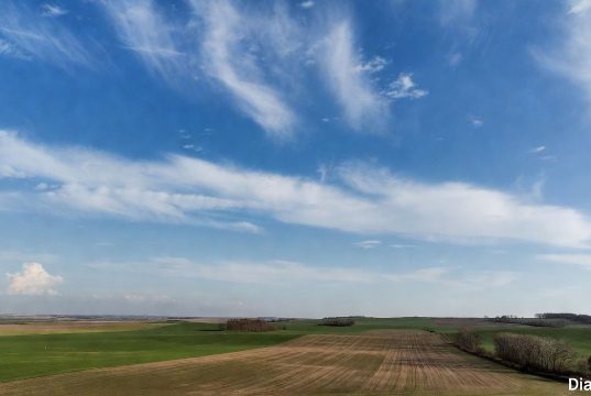 Весна с контрастами: синоптик рассказал о погоде до конца марта и сообщил, чего ждать в апреле и мае