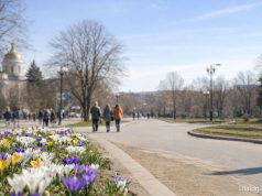 Весна ускоряется: уже к пятнице в Украине потеплеет до +17 градусов