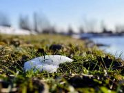 Весна усиливается: синоптическая картина порадует украинцев в ближайшие дни