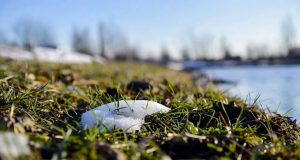 Весна усиливается: синоптическая картина порадует украинцев в ближайшие дни