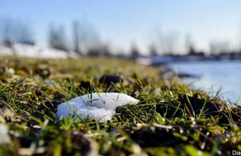 Весна усиливается: синоптическая картина порадует украинцев в ближайшие дни