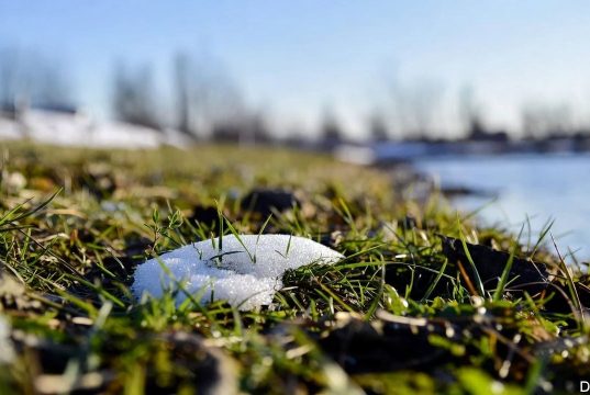 Весна усиливается: синоптическая картина порадует украинцев в ближайшие дни